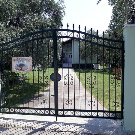 Villa Elia Skala Sotiros Exterior foto