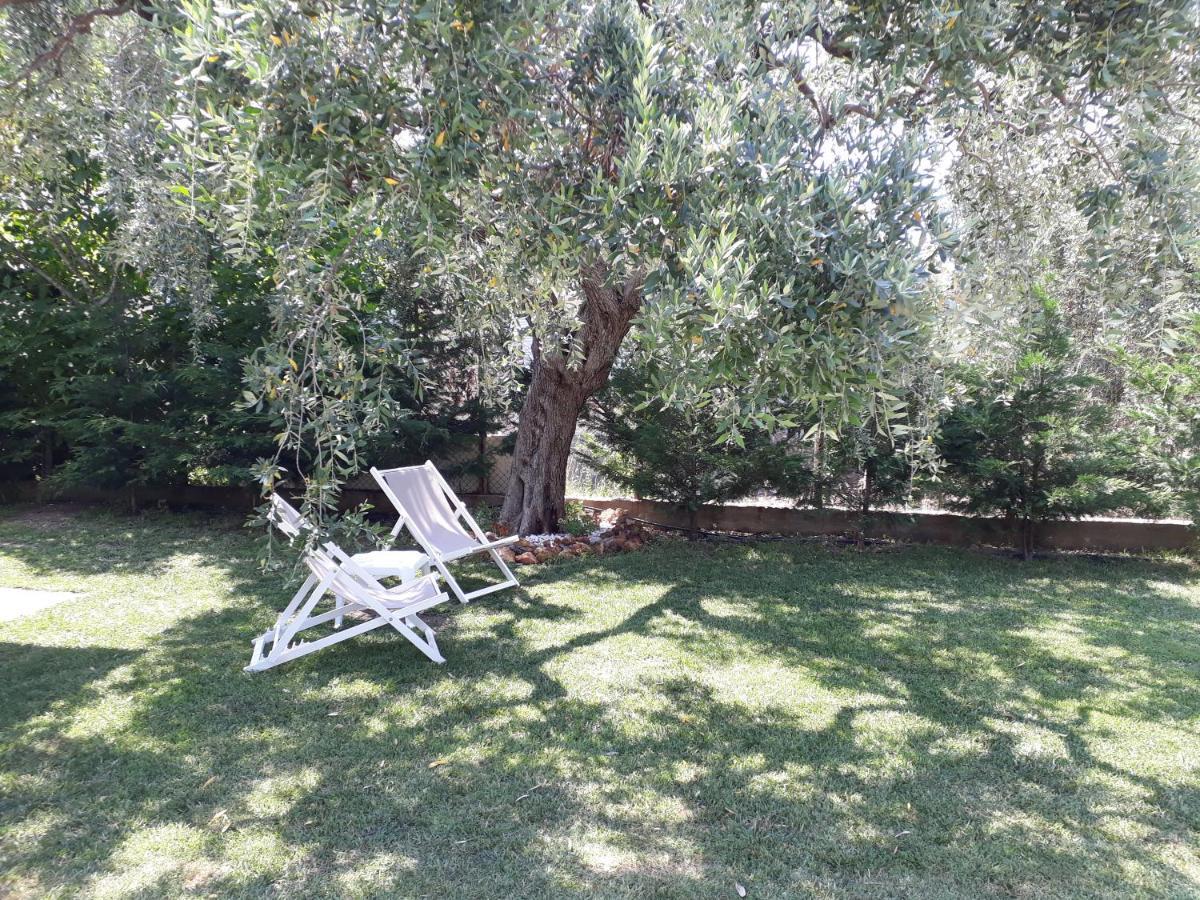 Villa Elia Skala Sotiros Exterior foto