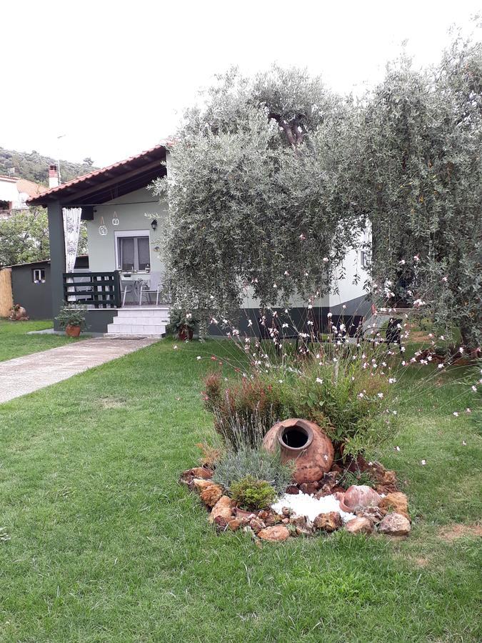 Villa Elia Skala Sotiros Exterior foto